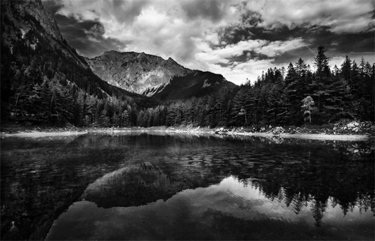 belle photographie de nature en noir et blanc