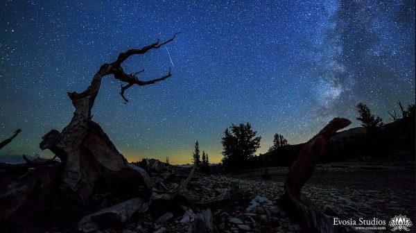 Time lapse du Parc national de Joshua Tree avec les Perséides