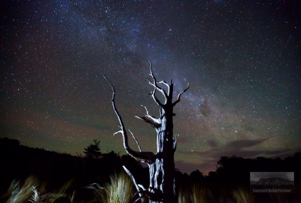 Time lapse de la beauté de la Nouvelle-Zélande