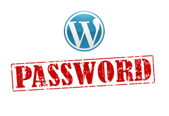 password-wordpress