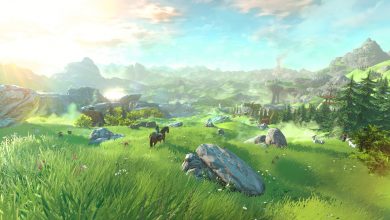 The Legend Of Zelda Pour 2017 (2)