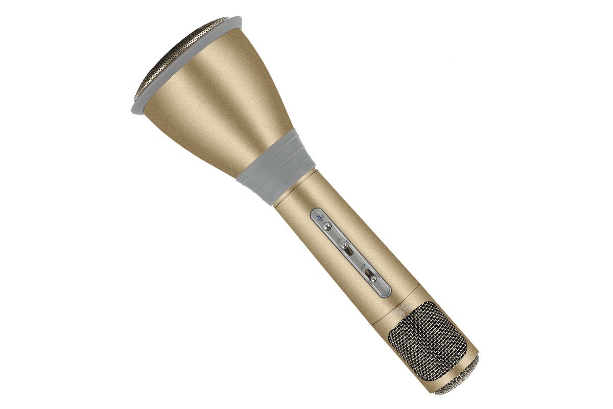 Enceinte De Fête MEDION PX-1 Plus - Bluetooth, Micro Inclus, Effets Lumineux, 100W RMS - Pour Karaoké Et Extérieur
